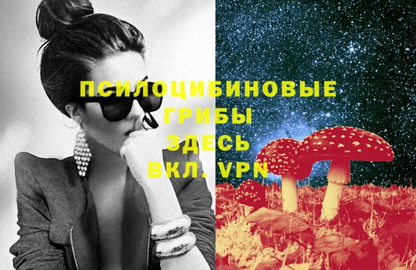 гидропоника Белоозёрский