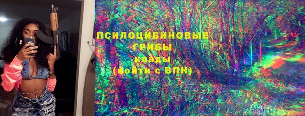 молекула духа Белокуриха